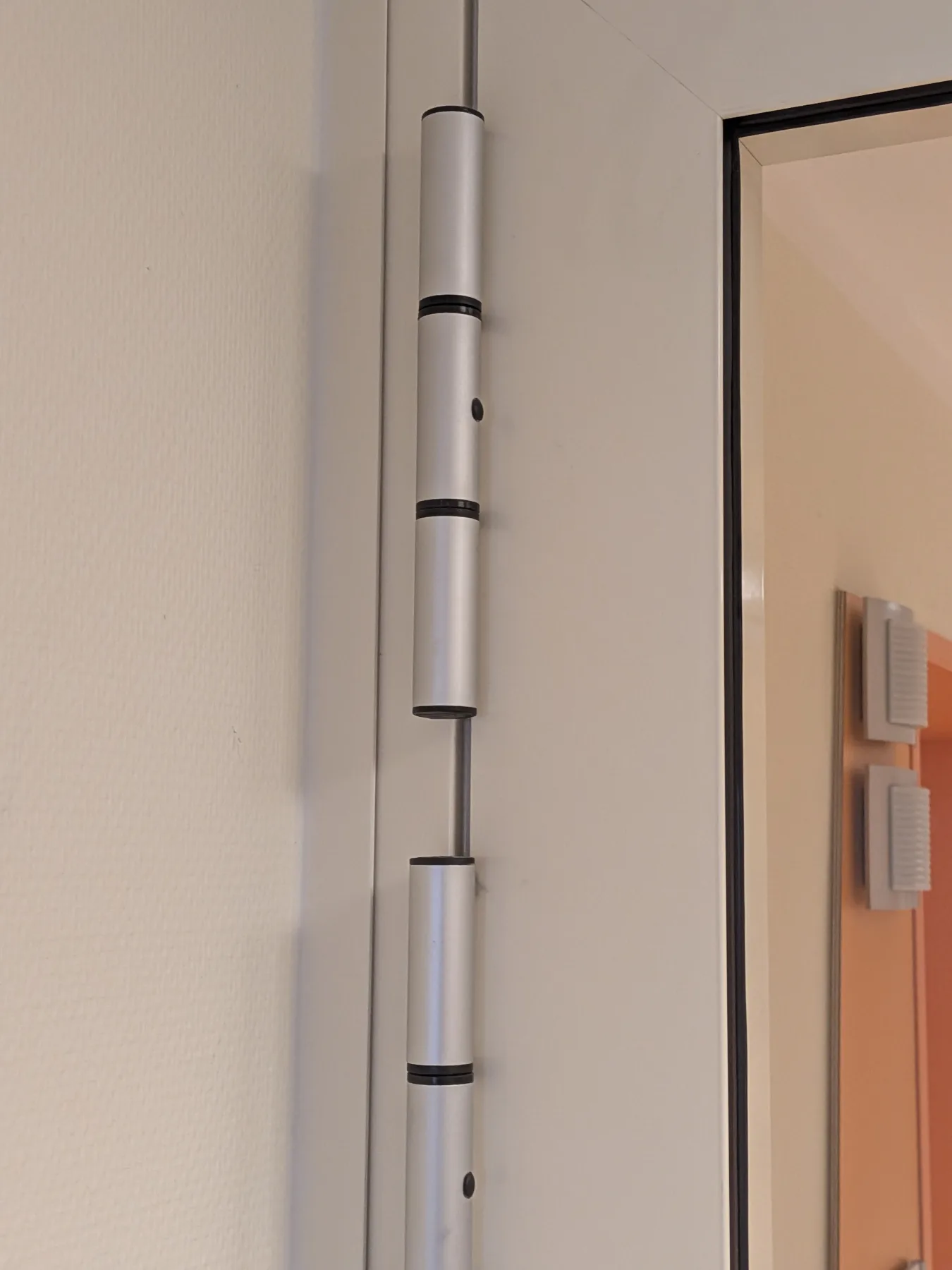 Türbänder an einer weißen Tür mit sichtbaren Befestigungselementen